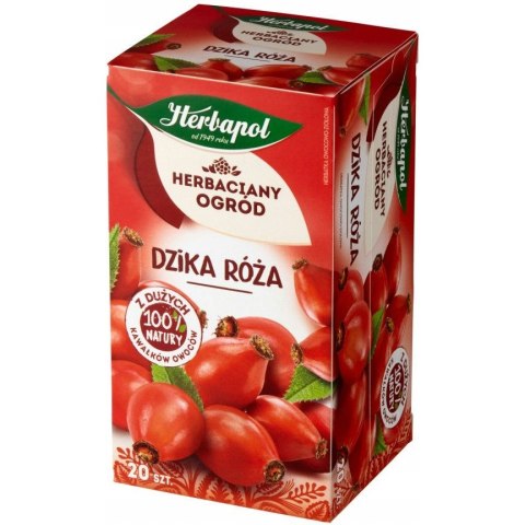 Herbata HERBAPOL owocowo-ziołowa (20 tb) Dzika Róża 70g HERBACIANY OGRÓD Herbata HERBAPOL owocowo-ziołowa (20 tb) Dzika Róża 70g HERBACIANY OGRÓD