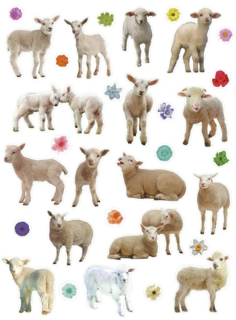 Naklejka Craft-Fun Series Sheep 490754 TITANUM Naklejka Craft-Fun Series Sheep 490754 TITANUM