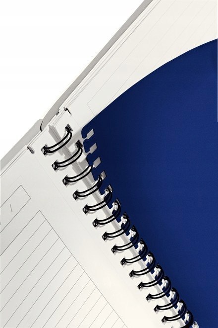 Kołonotatnik Get Organized EXECUTIVE A4 PP linia 44660000 LEITZ Kołonotatnik Get Organized EXECUTIVE A4 PP linia 44660000 LEITZ