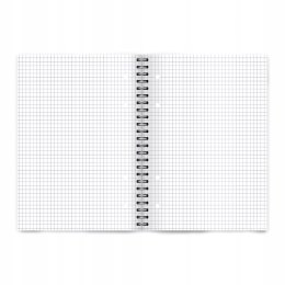 Kołozeszyt A4 80k kratka COLORS 400169230 TOP 2000