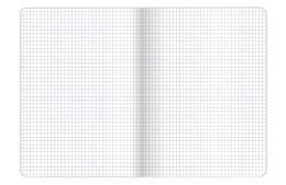 Zeszyt A5 16k kratka COLORS 400169180 TOP 2000