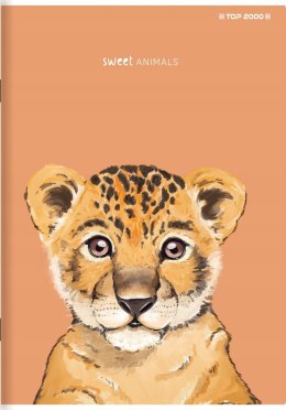Zeszyt A5 60k linia margines 70g ANIMAL 400169465 TOP 2000