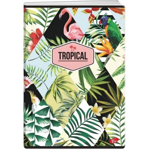 Zeszyt A5 60k linia okładka miękka TROPICAL EL-M10-060-LA5 ELISA Zeszyt A5 60k linia okładka miękka TROPICAL EL-M10-060-LA5 ELISA