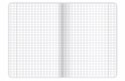Zeszyt A4 80k kratka margines BIRDS EYE 400181623 TOP 2000