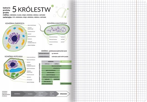 Zeszyt A5 60k kratka margines ściągi BIOLOGIA 400181529 TOP 2000 Zeszyt A5 60k kratka margines ściągi BIOLOGIA 400181529 TOP 2000