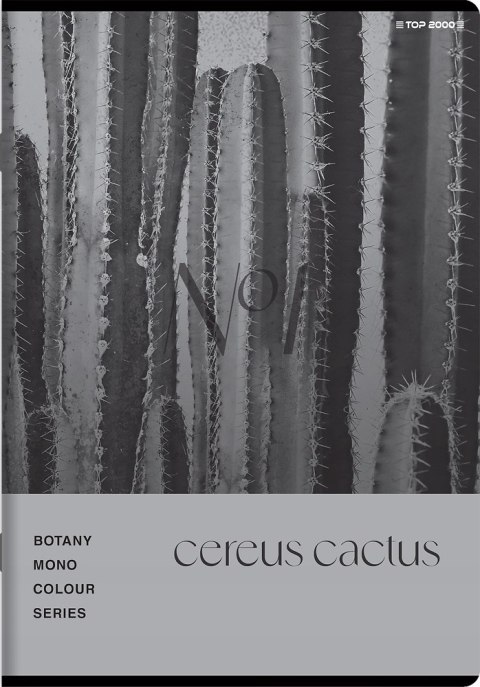 Zeszyt A5 80k kratka margines BOTANY 400181619 TOP 2000 Zeszyt A5 80k kratka margines BOTANY 400181619 TOP 2000