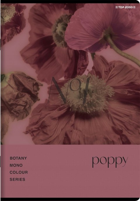 Zeszyt A5 96k kratka margines BOTANY 400182448 TOP 2000 Zeszyt A5 96k kratka margines BOTANY 400182448 TOP 2000