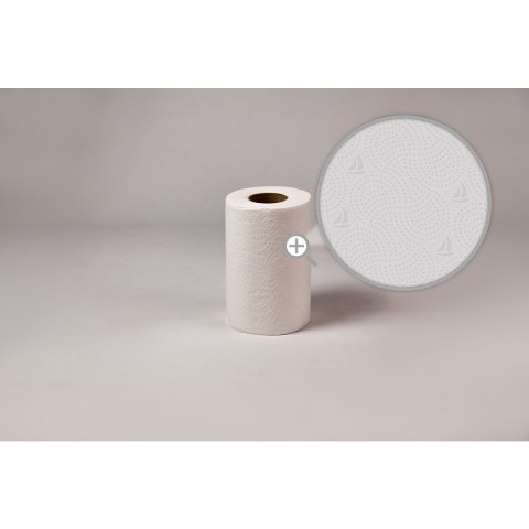 Ręcznik celuloza 19cm 50m 2w (12sztuk) RC50/2 MINI MISTRAL Ręcznik celuloza 19cm 50m 2w (12sztuk) RC50/2 MINI MISTRAL