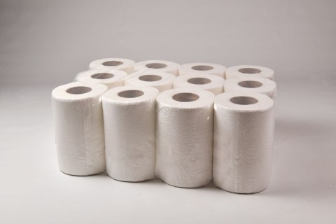 Ręcznik celuloza 19cm 50m 2w (12sztuk) RC50/2 MINI MISTRAL Ręcznik celuloza 19cm 50m 2w (12sztuk) RC50/2 MINI MISTRAL