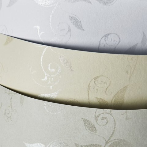 Karton ozdobny A4 LIANA biały 230g (20ark) 203901 Galeria Papieru Karton ozdobny A4 LIANA biały 230g (20ark) 203901 Galeria Papieru