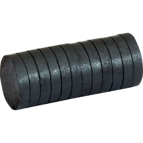 Magnes 30mm x 5mm (12szt.) 130-1788 GRAND Magnes 30mm x 5mm (12szt.) 130-1788 GRAND