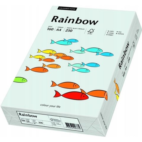 Papier ksero A4 160g RAINBOW R93 jasno szary 250ark 88042791 Papier ksero A4 160g RAINBOW R93 jasno szary 250ark 88042791