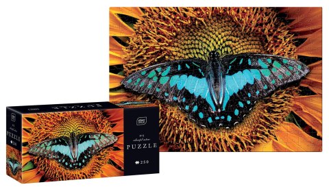 Puzzle 250 Colourful Nature 2 Butterfly PUZ250CN2B INTERDRUK Puzzle 250 Colourful Nature 2 Butterfly PUZ250CN2B INTERDRUK