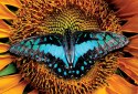 Puzzle 250 Colourful Nature 2 Butterfly PUZ250CN2B INTERDRUK