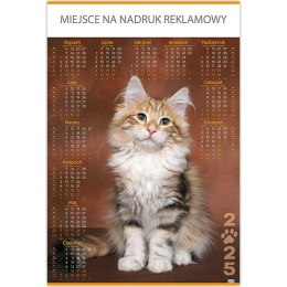 Kalendarz Plakatowy B1, P18 KOT 67x98cm TELEGRAPH