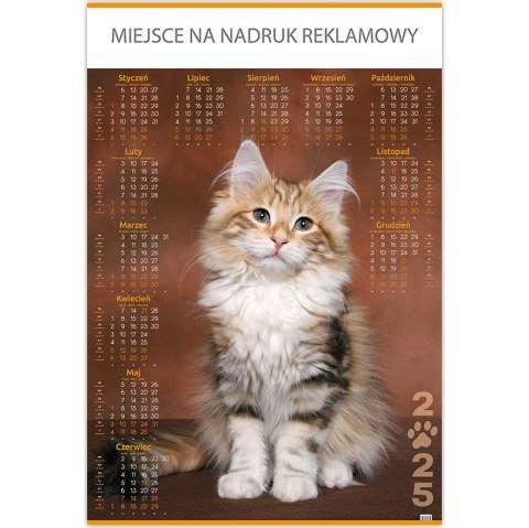 Kalendarz Plakatowy B1, P18 KOT 67x98cm TELEGRAPH Kalendarz Plakatowy B1, P18 KOT 67x98cm TELEGRAPH