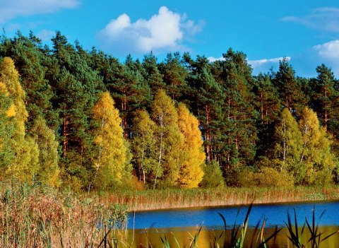 Kalendarz trójdzielny T1 BESKIDY Kalendarz trójdzielny T1 BESKIDY
