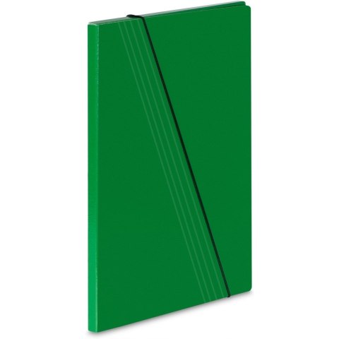 Teczka z gumką 1a zielona 700g. 307/06 VAUPE Teczka z gumką 1a zielona 700g. 307/06 VAUPE
