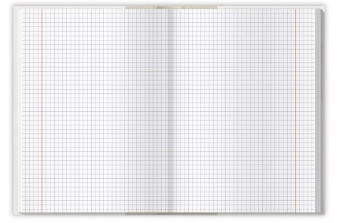 Brulion A5 96k kratka margines COLORS 400169200 TOP 2000 Brulion A5 96k kratka margines COLORS 400169200 TOP 2000