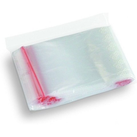 Torebki strunowe 310x430mm (100szt) Torebki strunowe 310x430mm (100szt)
