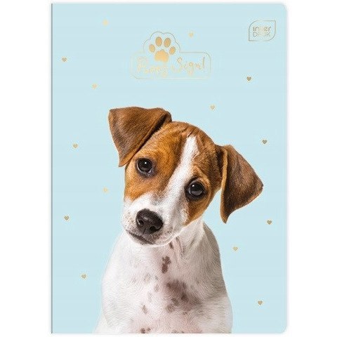 Zeszyt A5 16k UV PUPPY SIGN INTERDRUK Zeszyt A5 16k UV PUPPY SIGN INTERDRUK