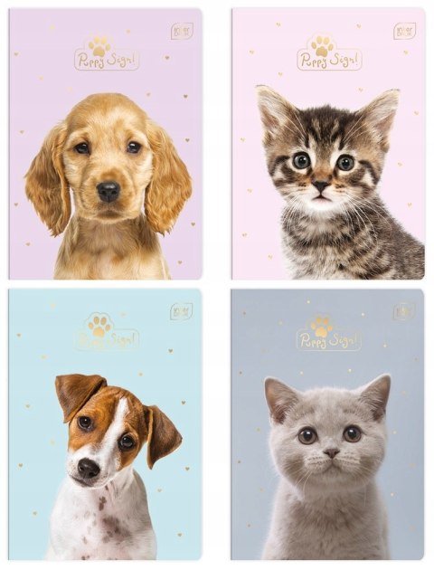 Zeszyt A5 16k UV PUPPY SIGN INTERDRUK Zeszyt A5 16k UV PUPPY SIGN INTERDRUK