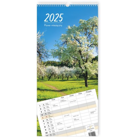 Kalendarz planer miesięczny 2025 Michalczyk i Prokop T-109-01 Kalendarz planer miesięczny 2025 Michalczyk i Prokop T-109-01