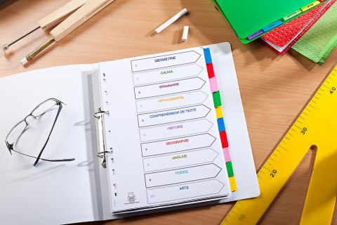 Przekładki kartonowe A4+ MYLAR 1-12 kolor ELBA 100204983 Przekładki kartonowe A4+ MYLAR 1-12 kolor ELBA 100204983