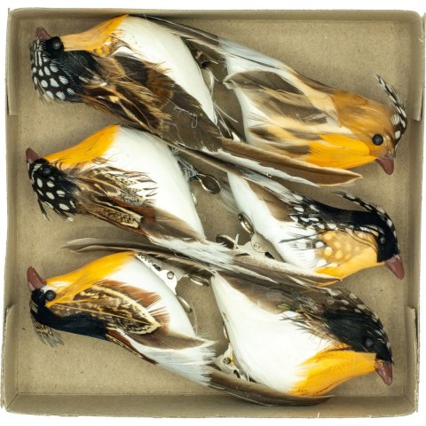 Ptaszki dekoracyjne z klipsem 12cm (6szt.) PTD-6128 ALIGA Ptaszki dekoracyjne z klipsem 12cm (6szt.) PTD-6128 ALIGA