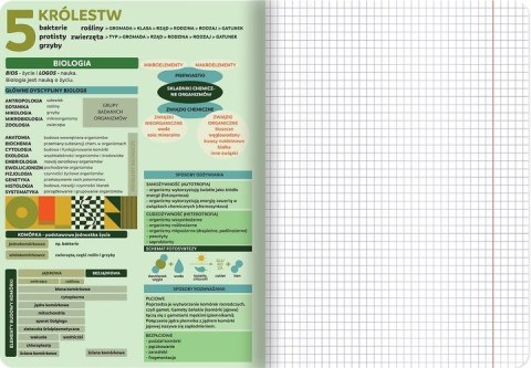 Zestaw zeszytów A5 60k (8szt) j.polski matematyka biologia historia j.angielski geografia chemia fizyka TOP 2000 Zestaw zeszytów A5 60k (8szt) j.polski matematyka biologia historia j.angielski geografia chemia fizyka TOP 2000