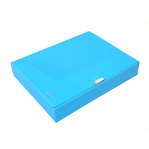 Teczka A4 BOX PP NEON NIEBIESKA 0410-0090-03 PANTA PLAST Teczka A4 BOX PP NEON NIEBIESKA 0410-0090-03 PANTA PLAST