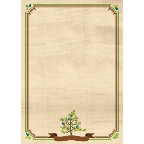 Dyplom A4 NATURA 170g (25ark.) 219117 Galeria Papieru Dyplom A4 NATURA 170g (25ark.) 219117 Galeria Papieru