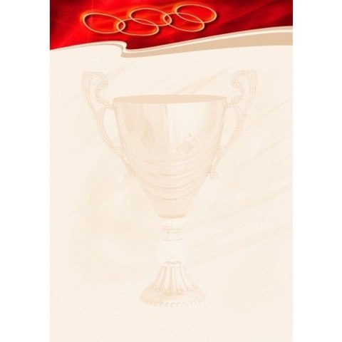 Dyplom A4 SPORT N 170g (25ark) 212317 Galeria Papieru Dyplom A4 SPORT N 170g (25ark) 212317 Galeria Papieru