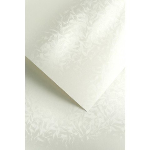 Karton ozdobny A4 OLYMPIA perłowa biel 220g (20) 203403 GALERIA PAPIERU Karton ozdobny A4 OLYMPIA perłowa biel 220g (20) 203403 GALERIA PAPIERU