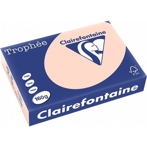 Papier ksero A4 160g TROPHEE łososiowy 1104 xca41104 250ark Papier ksero A4 160g TROPHEE łososiowy 1104 xca41104 250ark