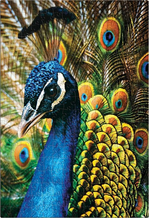 Puzzle 250 Colourful Nature 1 PEACOCK INTERDRUK Puzzle 250 Colourful Nature 1 PEACOCK INTERDRUK
