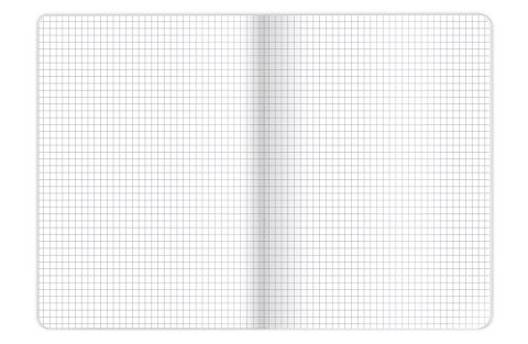 Zeszyt A6 48k kratka COLORS 400169190 TOP 2000 Zeszyt A6 48k kratka COLORS 400169190 TOP 2000
