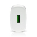 Ładowarka sieciowa 230V EVERACTIVE SC-250Q 1xUSB-A 18W biała