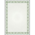 Dyplom A4 CYPRYS 170g (25ark.) 211017 Galeria Papieru