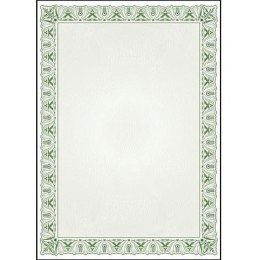 Dyplom A4 CYPRYS 170g (25ark.) 211017 Galeria Papieru