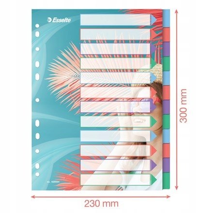 Przekładki Colour`Breeze PP A4 12 przekładek 628501 ESSELTE Przekładki Colour`Breeze PP A4 12 przekładek 628501 ESSELTE