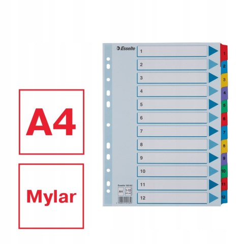 Przekładki kartonowe MYLAR A4 1-12 białe 100162 ESSELTE Przekładki kartonowe MYLAR A4 1-12 białe 100162 ESSELTE