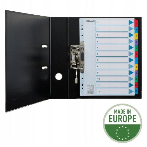 Przekładki kartonowe MYLAR A4 1-12 białe 100162 ESSELTE Przekładki kartonowe MYLAR A4 1-12 białe 100162 ESSELTE