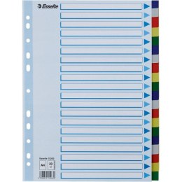 Przekładki plastikowe z PP A4 20 kart 15263 ESSELTE