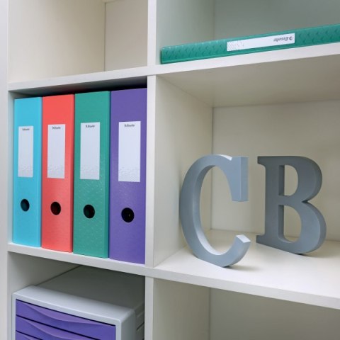 Segregator ESSELTE Colour`Breeze z polyfoamu A4 82mm lawendowy 628428 Segregator ESSELTE Colour`Breeze z polyfoamu A4 82mm lawendowy 628428