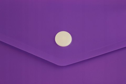 Teczka kopertowa DL SATYNA mix BIURFOL TKS-03-00 (12szt.) Teczka kopertowa DL SATYNA mix BIURFOL TKS-03-00 (12szt.)